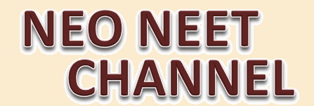 ネオニートチャンネル