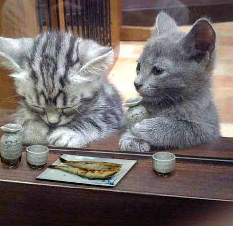 2Xqb3FFNMkkhup8gFdB6RODAo1_500