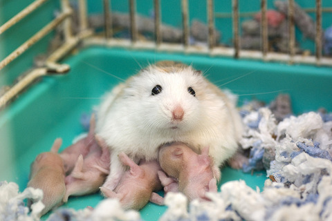 5050725887_b5a7d8e975_z