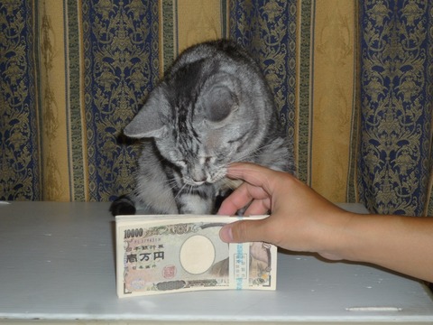 img_762921_29365683_0