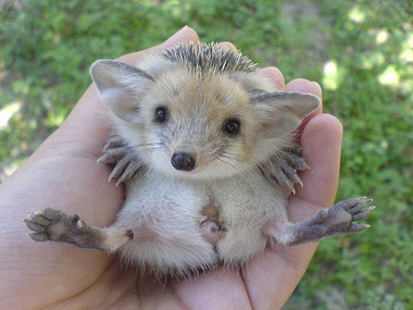 2768045390_14eaecd059_z