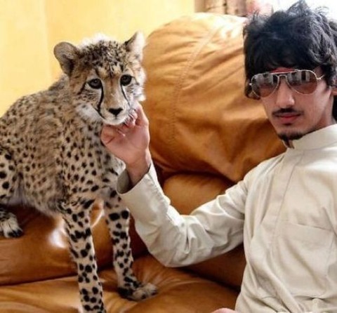 000cf1bdd02213dae2614d